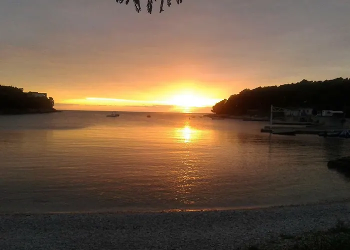 Mamic Pula